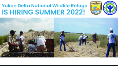 YCC flyer 2022 Yukon Delta.pdf