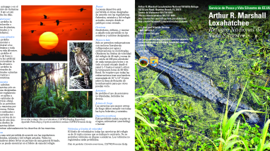 ARM Loxahatchee NWR General Brochure Spanish