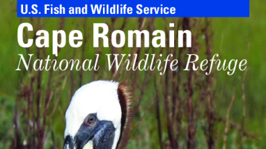 Cape Romain NWR General Brochure