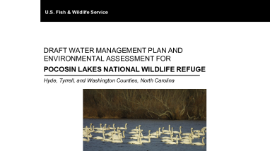Draft Water Management Plan and Environmental Assessment for Pocosin Lakes National Wildlife Refuge