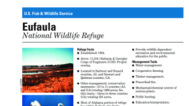 Eufaula NWR Fact Sheet