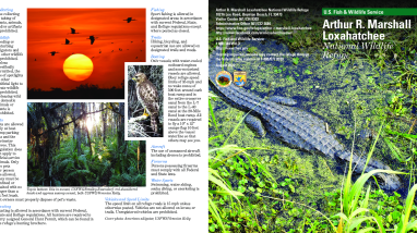 ARM Loxahatchee NWR General Brochure 2022 English