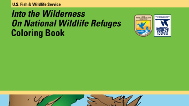 Into the Wilderness on National Wildlife Refuges Coloring Book