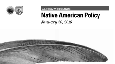 Native American Policy 2016