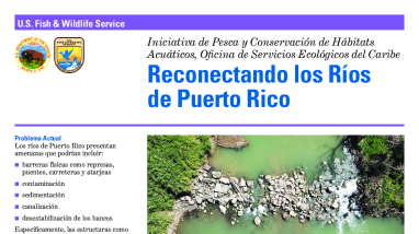 Reconectando los Ríos de Puerto Rico