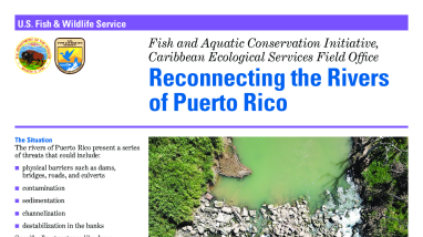 Reconnecting the Rivers of Puerto Rico