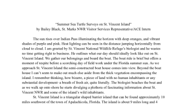 Sea Turtle Survey on St. Vincent NWR