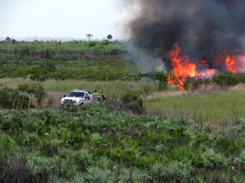 Fire crews light scrub and wetland vegetation as part of a prescribed fire at Merritt island National Wildlife Refuge. A
