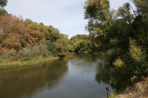 A river with woodlands on either bank.