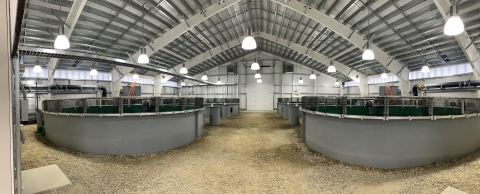 Large circular tanks in a vast room with a gravel floor.