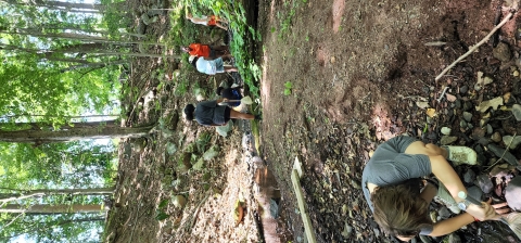 young students walking through a forest