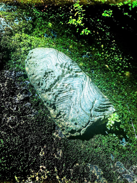 An ancient tool sits in the moss.