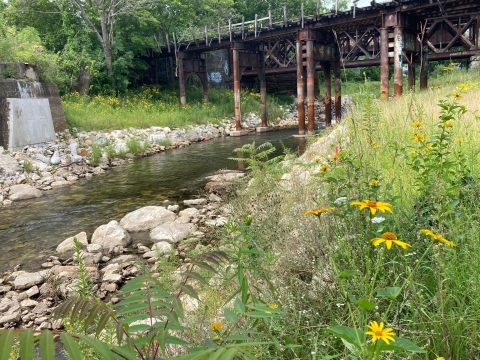 A river runs from upper right to lower left and is bordered by green trees on one side and wildflowers on the other. An old train bridge is in the background.