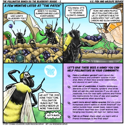 4 grid comic: a bee says, “Who wants blueberry pie?” Bumbleboss says “Here’s to saving summer bar-bee-ques everywhere!” A bumblebee says while holding a pie slice to a common buckeye butterfly “You know it’s never too late to reverse climate change!” The butterfly says “Yeah! And when people help pollinators like us, it supports healthy landscapes that capture carbon and slow warming.” Bumbleboss says “We got the job done this time Pollinator Bunch, but the world needs us more than ever. Let’s buzz!” 