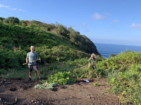 A man and a woman stand on a green ocean bluff. He is holding a pick axe. She is holding a large green weed that she just pulled. They are looking at the camera and smiling.