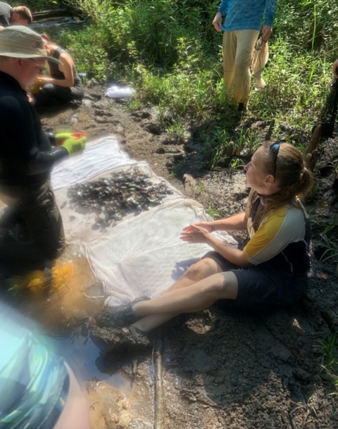 Biologists identifying freshwater mussels