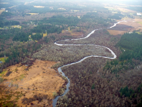 A small river winds back and forth through an area of mixed woods and wetland, seen in an aerial photo