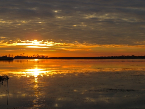 A gold and orange sunset reflects on the still waters of Back Bay. A line of trees denotes the horizon.