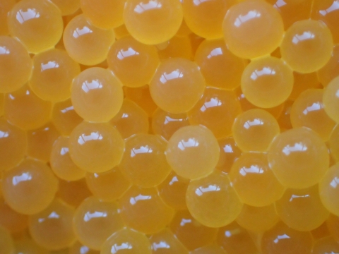 The North Attleboro National Fish Hatchery rears native Brook Trout to supply on-site and local fishing derbies, and educational outreach events.