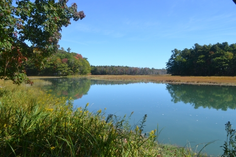 Little River at Rachel Carson National Wildlife Refuge