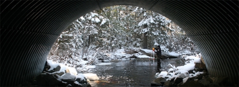looking out an open arch culvert