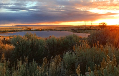 Image of Malheur Lake at sunset