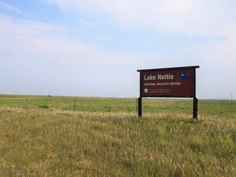 Lake Nettie NWR