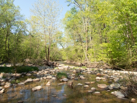 Conasauga River