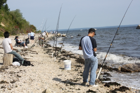 Anglers line the shore hoping to snag a bite from the surf