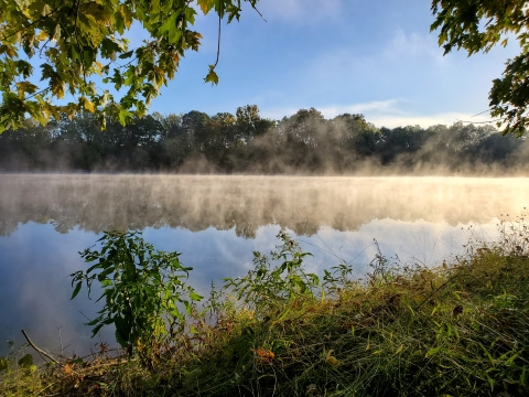 fog rising off water along Buckley Island