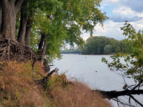 Manchester 1 as seen from Manchester 2