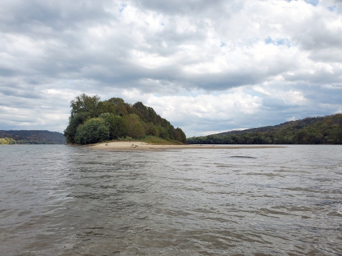 Manchester 1 Island sandbar