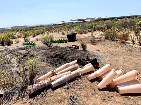 Area being restored with native plants. Cones lie on the bottom half of photo and towards the left, a mound of soil. In the background there are watering cans and tall native plants planted from previous years. 