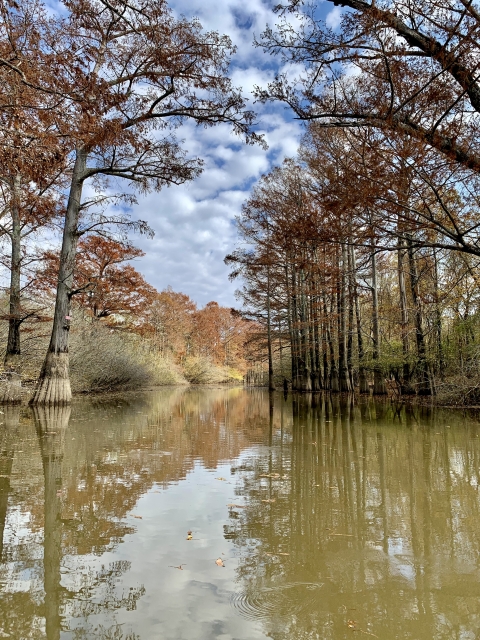 Fall colors reflecting over Rainbow Lake