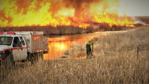 Female Firefighter Lighting Marsh Fuels on Lower Klamath NWR