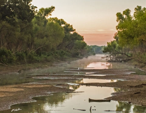 Creek bed with patches of water and with trees on both sides