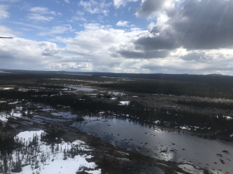 Labrador WBPHS Stratum 67