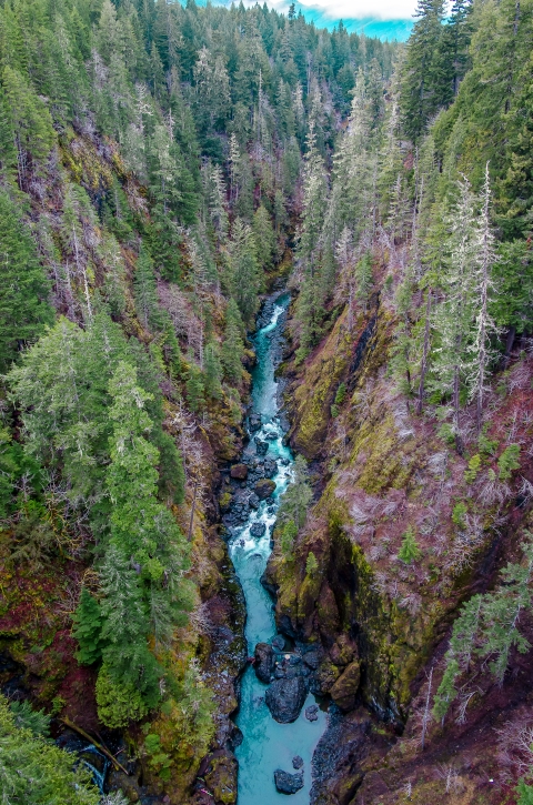 A river running through a valley full of trees