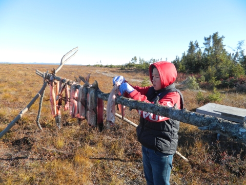 a young person hangs a fish on a wooden drying pole