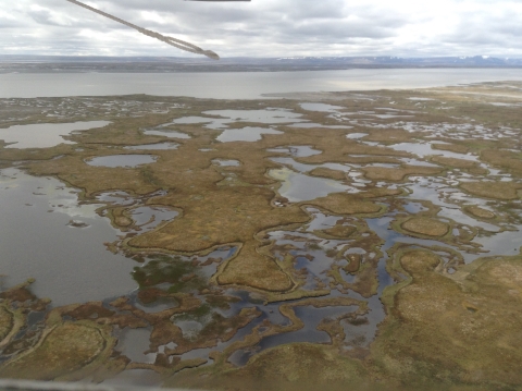 brown tundra with lakes and ponds