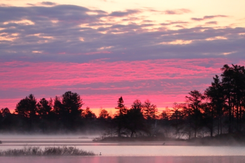 Foggy sunrise at Seney.
