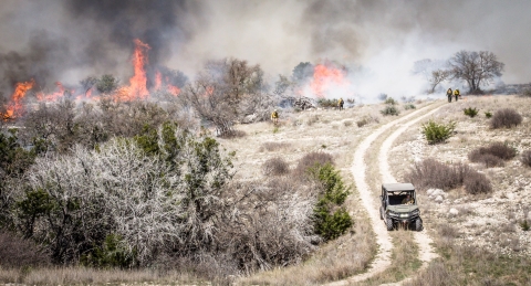 area of brownish shrubs with small fires, firefighters