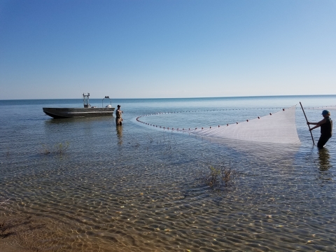 Person pulling a net in the water with a boat in background.
