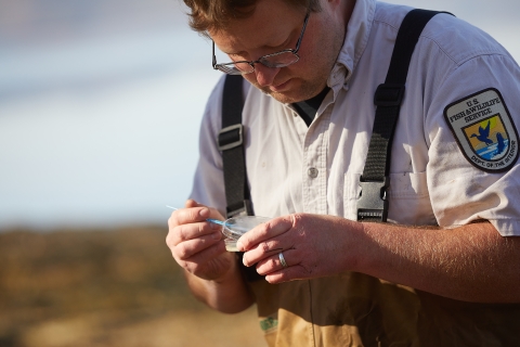 Man in the field as he scrapes sample in petri dish
