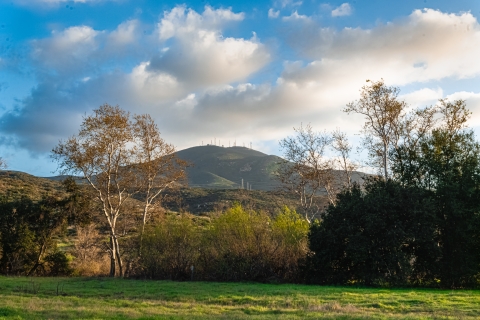 Green grassy space up in the forefront with trees in the middle and rolling hills in the background.