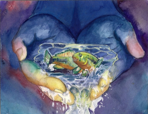 Painting of two hands holding water with two fish in them. 