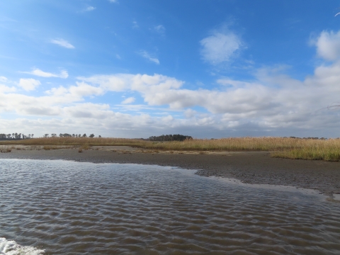 a clear day salt marsh coastline from the view of the water