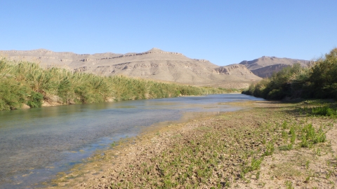 Looking downstream at the Rio Grande downstream of the Black Gap Wildlife Refuge