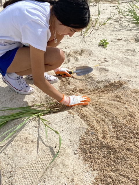 young person wearing gloves holds trowel and plants in sand