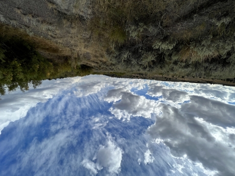 A beautiful sagebrush landscape with a cloudy sky and green sagebrush and grass in the foreground can be seen.